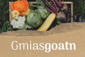 Mehr über den Artikel erfahren Gmiasgoatn